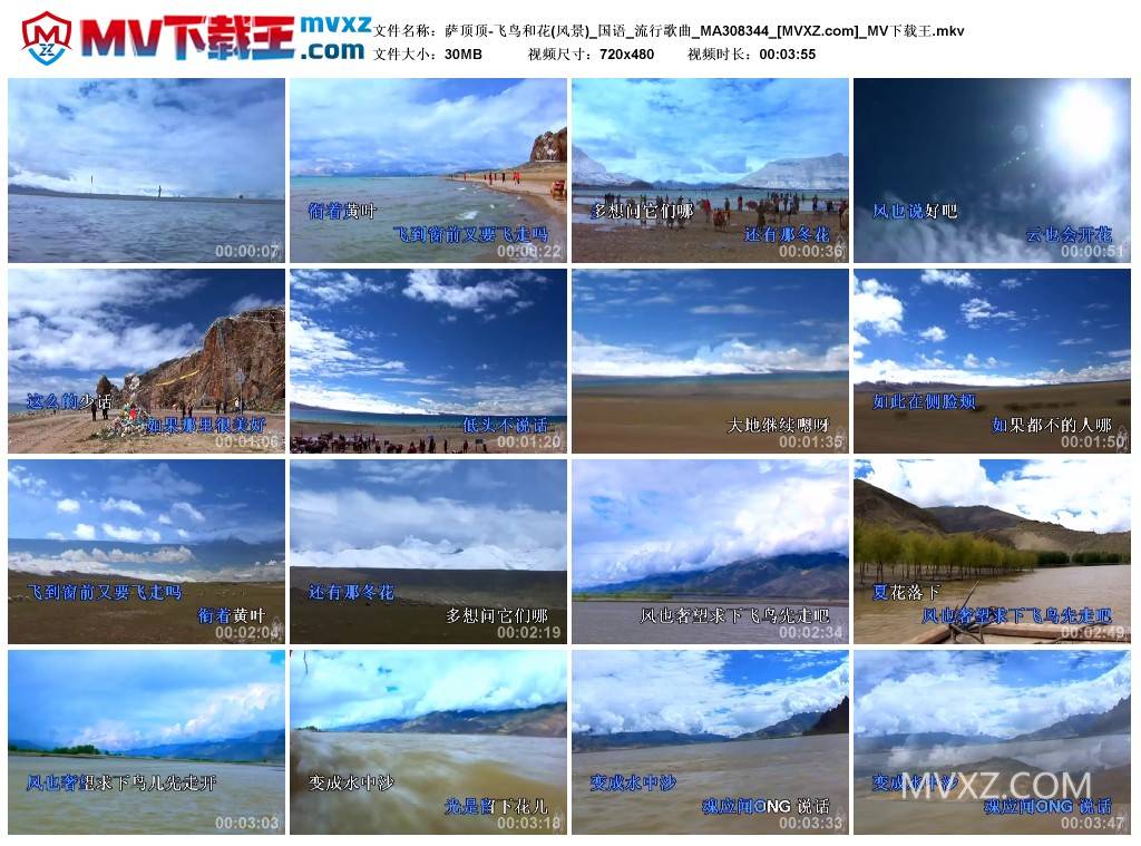 萨顶顶-飞鸟和花(风景)_国语_流行歌曲_MA308344